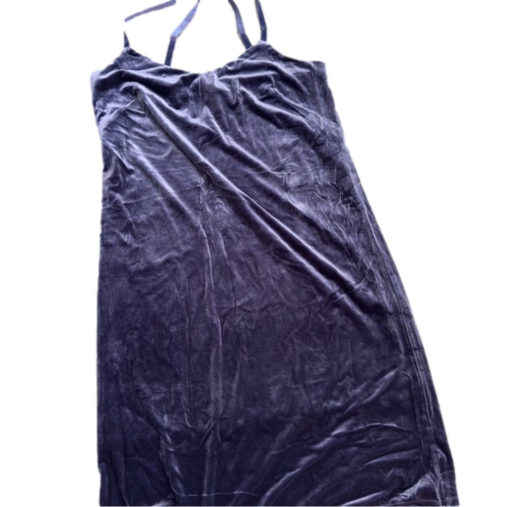 White House Black Market Velvet Slip Dress